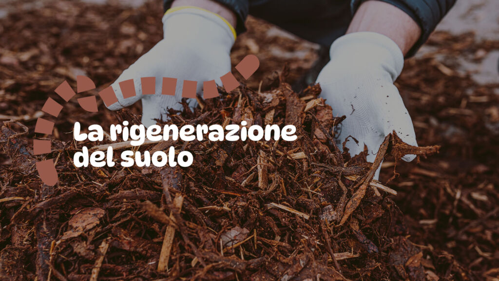 La rigenerazione del suolo